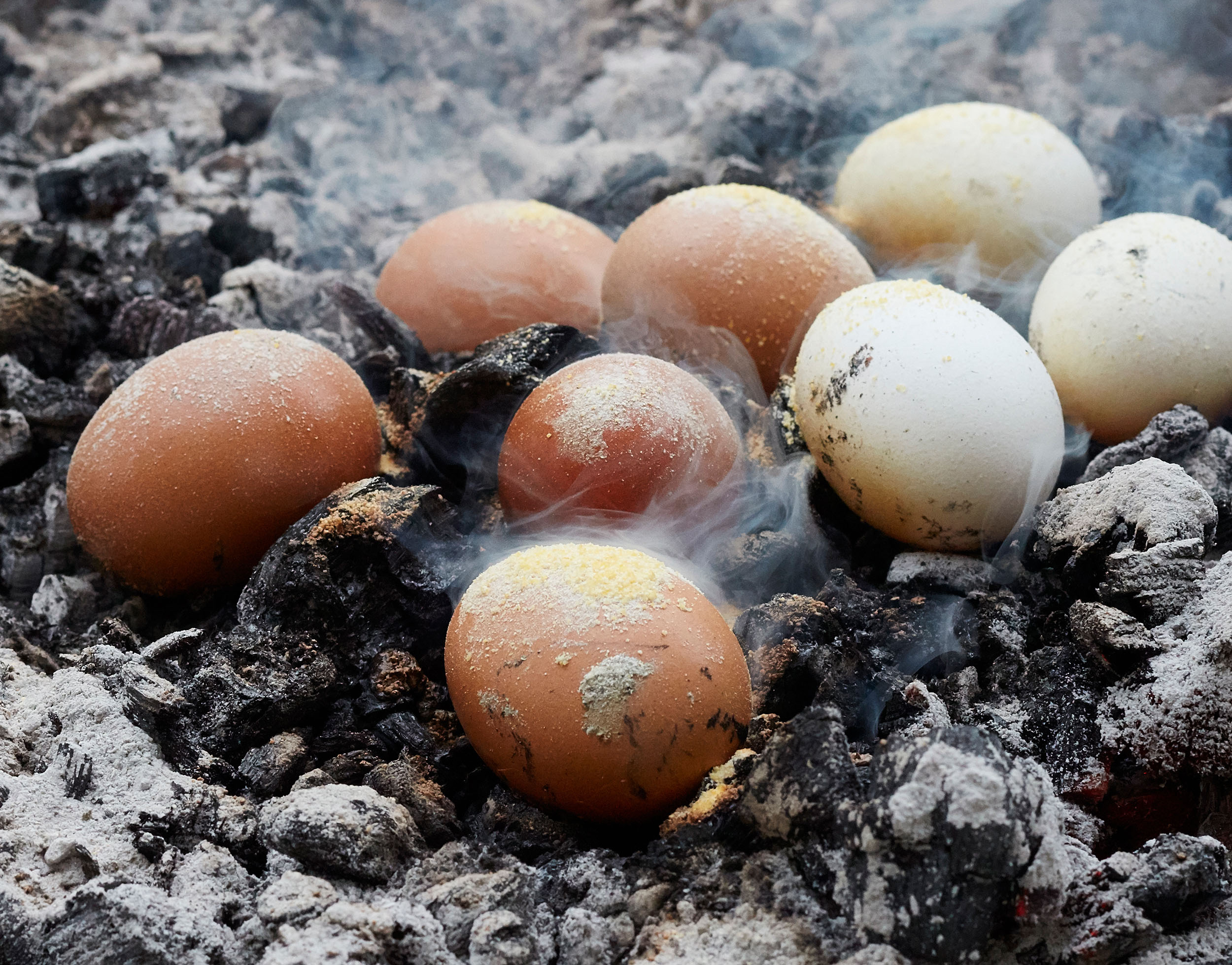 DevilEmberedEggs3