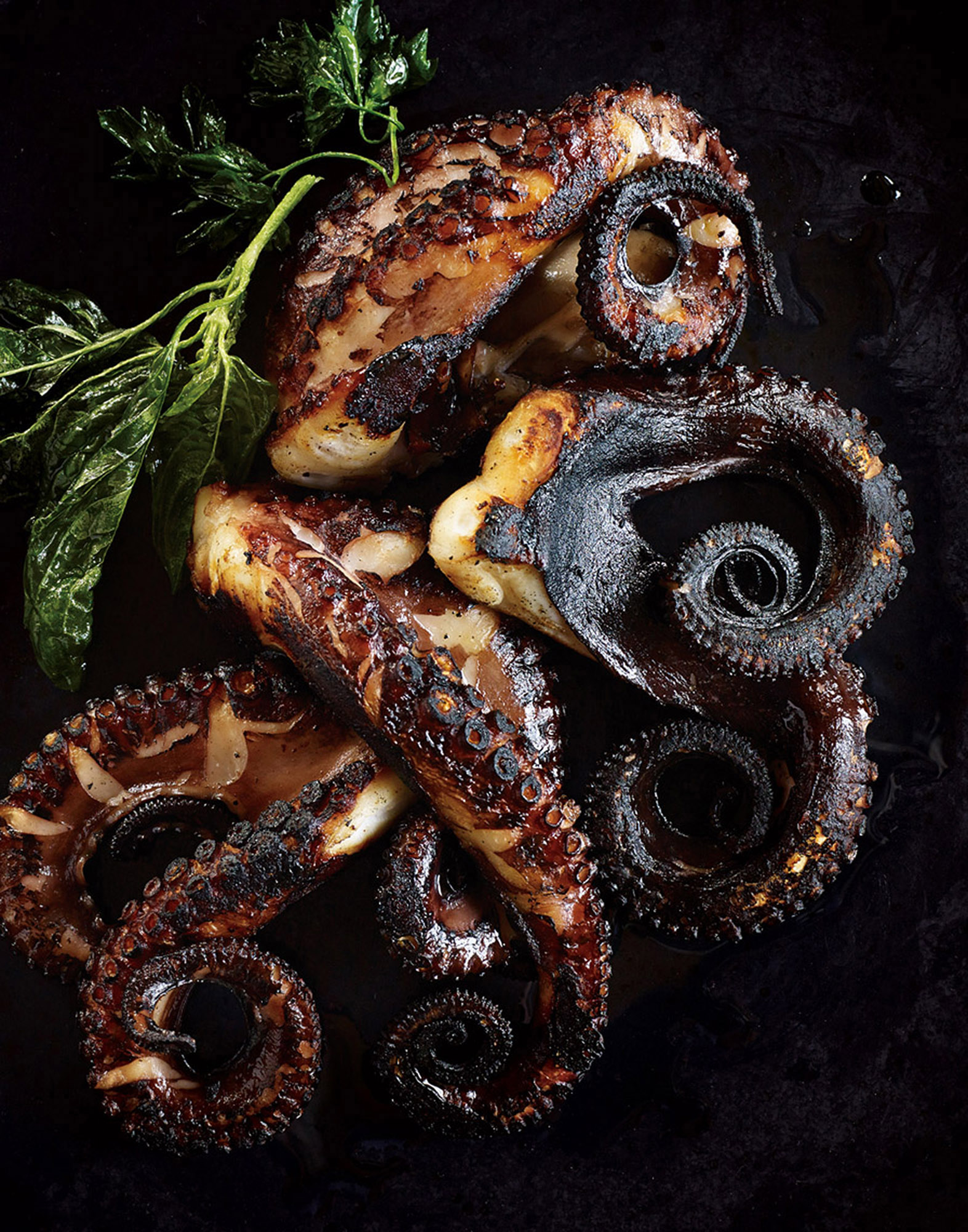 Food1_012